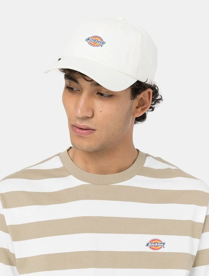 Кепка Dickies Hardwick Baseball Cap Cloud